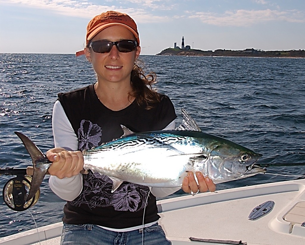 false-albacore-is-bait-marine-fish-conservation-network