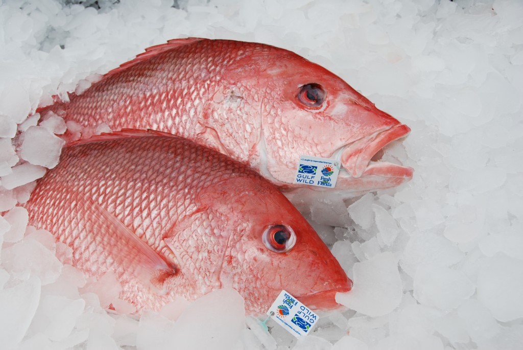 We Can All Agree on Healthy Red Snapper Populations in the Gulf ...