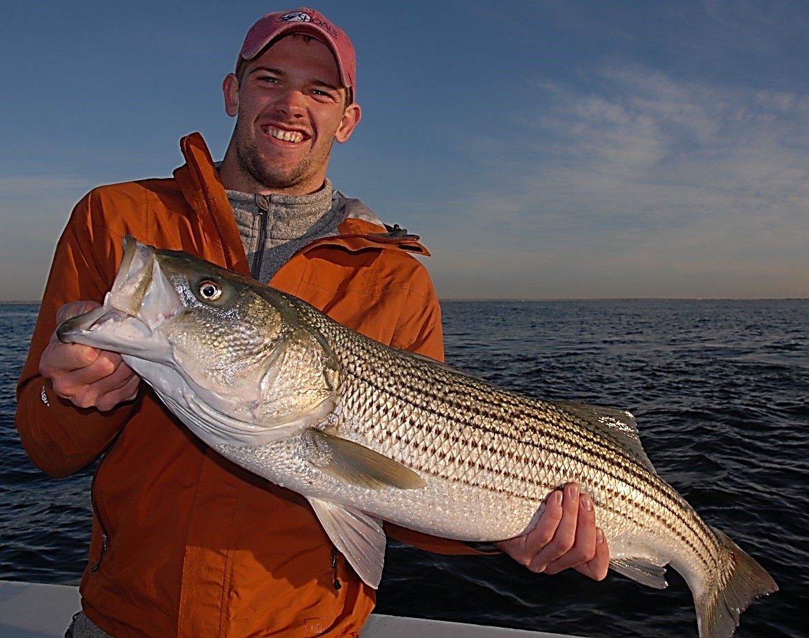 So, How Was Your Striped Bass Season? Marine Fish Conservation Network