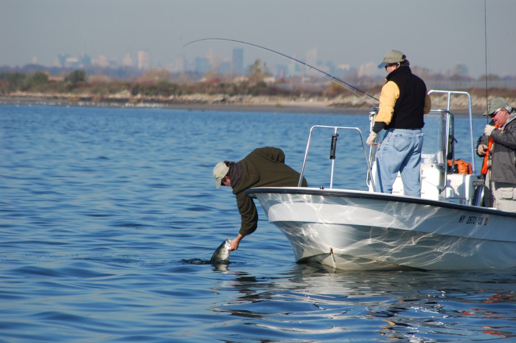 America’s Recreational Fishing Tradition - Marine Fish Conservation Network