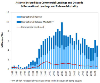 Atlantic Striped Bass Commercial Landings and Discards & Recreational Landings and Release Mortality