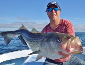 A strong Magnuson-Stevens Act allowed striped bass to grow to sustainable levels, like this one caught September, 2016 off Block Island by Steve Brustein of Maine on No Fluke Charters.