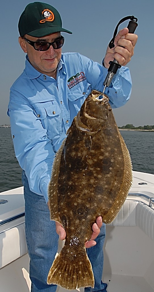 Big fluke Marine Fish Conservation Network