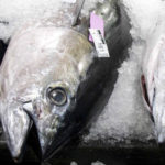 ICCAT Nations Betray Bigeye Tuna