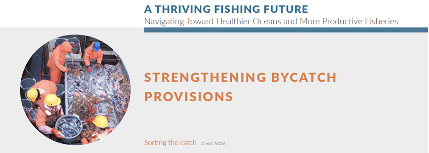 Strengthening bycatch provisions