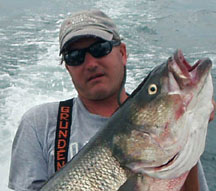 Capt. Rick Bellavance (with striped bass) is president of the RI Party & Charter Boat Association and member of the New England Fishery Management Council. 