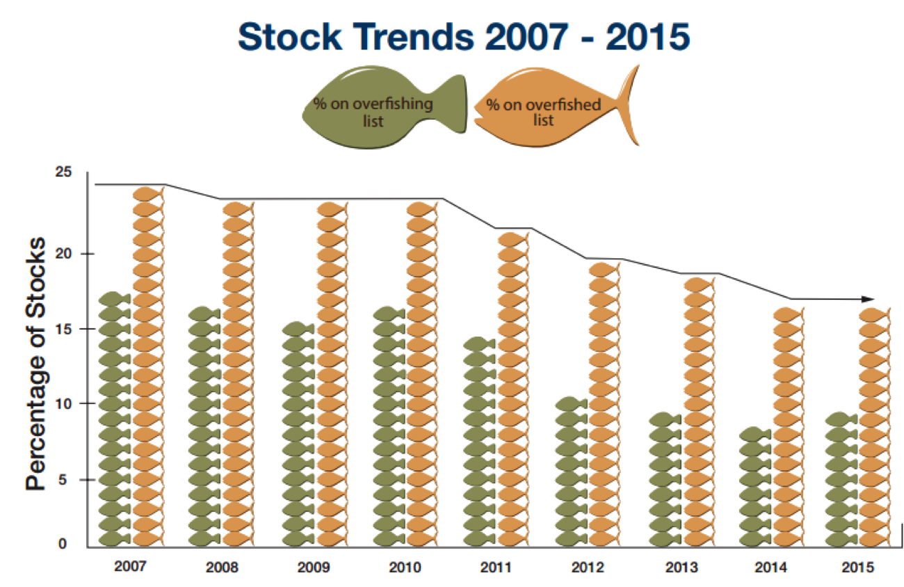 Status of the stocks chart