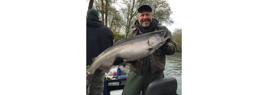 Pro guide Chris Vertopoulos with a Wilson River Chinook, late October 2016