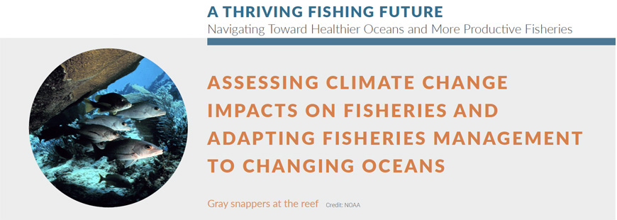 Assessing climate change impacts on fisheries & adapting fisheries management to changing oceans