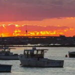 Five Ways CLF Has Fought to Protect Fish and Fisheries