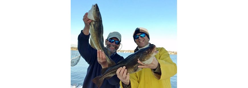 Steve Brustein and Capt. Dave Monti with cod caught at the East Fishing Grounds three miles east of Block Island on No Fluke Charters.