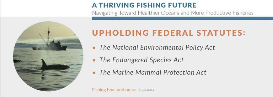 Upholding federal statutes