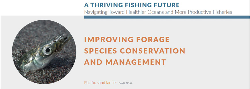 Improving forage species conservation & management
