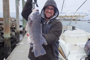 Last November Geoff Monti of Westerly, RI had no trouble hooking multiple tautog with Capt. Monti’s tautog finder… a special egg sinker rig that uses laser sharp hooks and reduces bottom tie-ups by 50%.