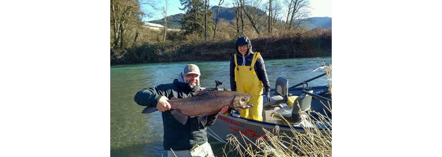 Chris Vetopoulos holds a January Chinook from the Wilson River on the North Oregon Coast.