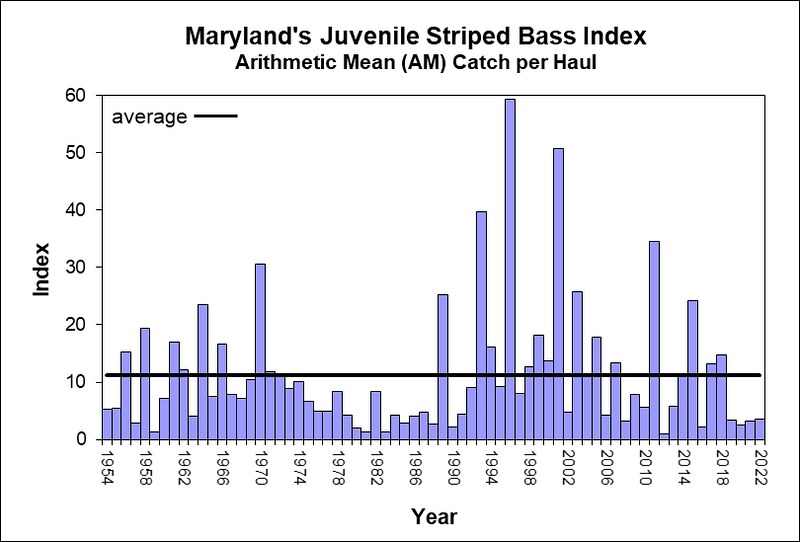Maryland's Juvenile Striped Bass Index (click for larger version)