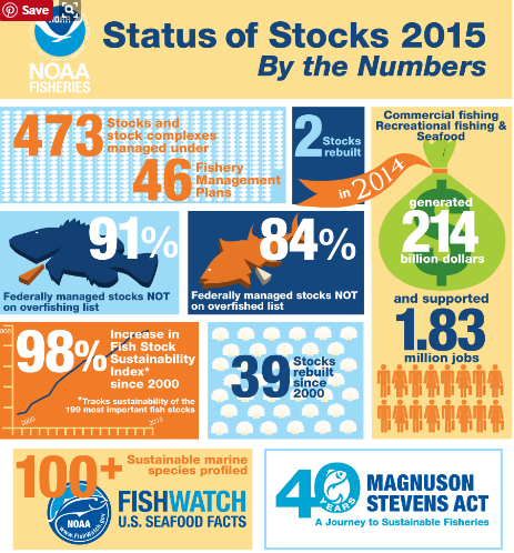 Status of the Stocks