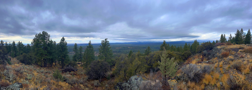 Malheur National Forest view