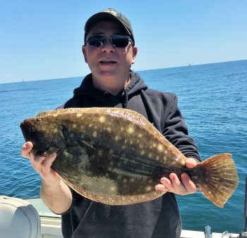 Mike Wade, owner of Watch Hill Outfitters, Westerly, RI caught multiple fluke at the windmills last summer.  Wade said, “Fishing was outstanding at the windmills this year.”