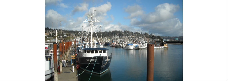Harbor: Newport, Oregon