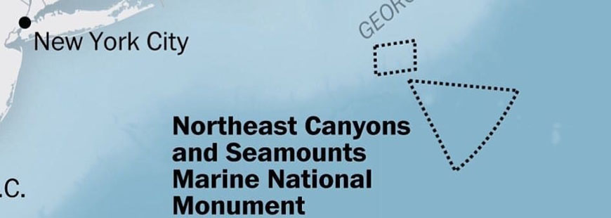 Northeast Canyons and Seamounts Marine National Monument