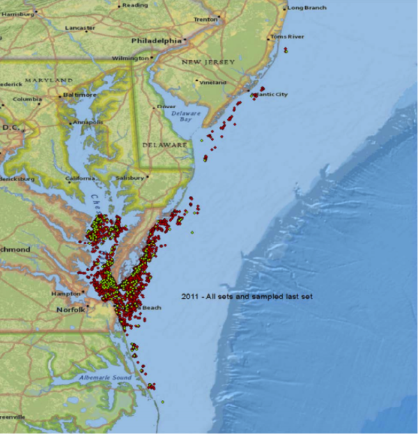 Omega Protein nets in the Chesapeake Bay Marine Fish Conservation Network