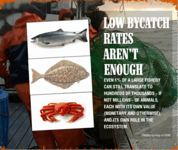 Why low bycatch rates aren't enough