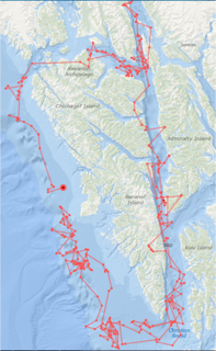 SEASWAP whale tracking map