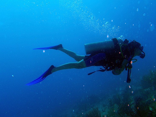 Scuba Diver [Photo Credit: Daquella Manera]