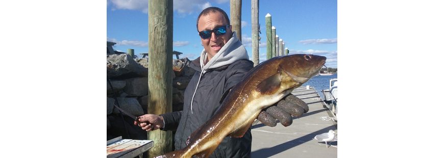 Steve Brustein of Portland, ME caught this cod off Newport while fishing for tautog last November.