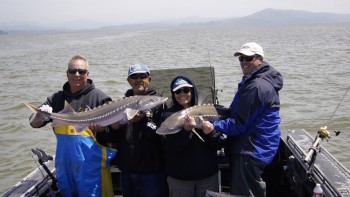 Pro guides Andy Betnar (Far left) and Bob Rees (Far right) with Stevie Parsons (right) and her brother Rick with a double! These sturgeon were caught and released, along with several others, on fresh anchovies from the Columbia River.