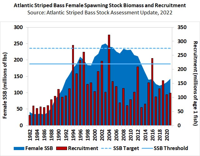 Atlantic striped bass female spawning stock biomass and recruitment, 1982-2020