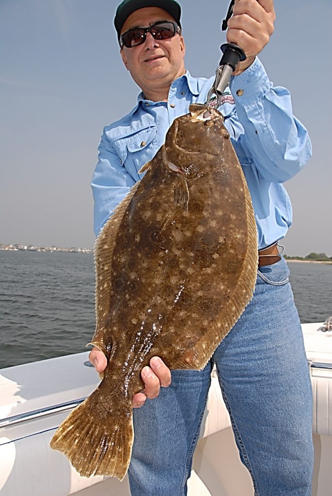 Summer flounder Marine Fish Conservation Network