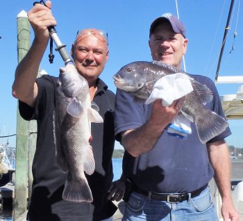 Rick Croteau and Jim Malachowski caught tautog to 23 inches off Newport.  The tautog bite there was good through November last year.
