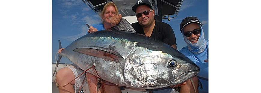 Healthy ecosystems and abundant bait mean big tuna! Photo by Capt. John McMurray.