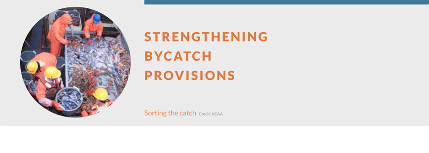 Strengthening Bycatch Provisions