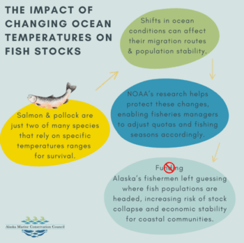 The Impact of Changing Ocean Temperatures on Fish Stocks