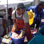 Commercial Fishermen — Entrepreneurs, Problem Solvers, and Conservationists