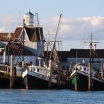 Message to NOAA: Time to Prioritize Climate-Ready Fisheries