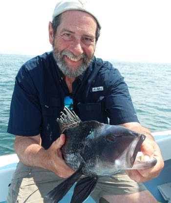 Capt. Dave Monti with black sea bass.  Warm water fish are moving into the region, and cold water fish like winter flounder, cod and American lobster are moving out to cooler/deeper water. 