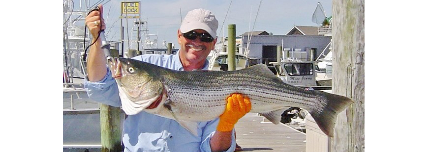 Capt. Dave Monti with Block Island striped bass