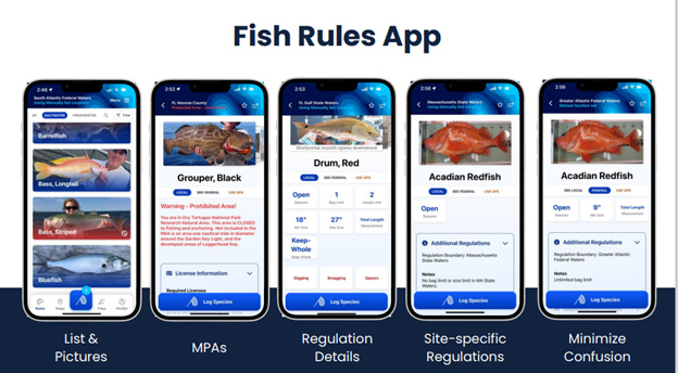 Fish Rules allows anglers to check fishing regulations no matter where they are.