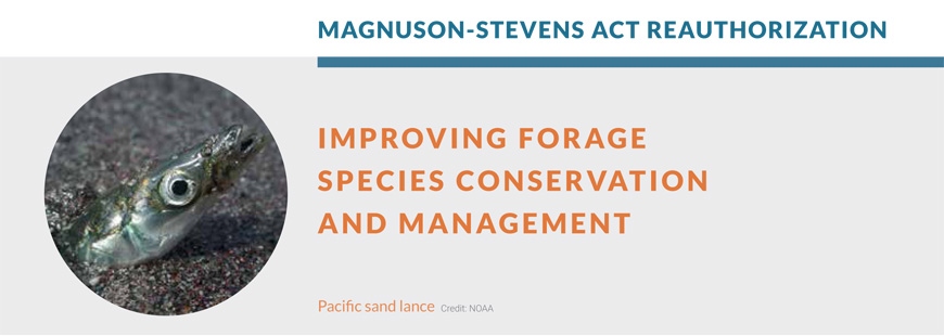 Improving Forage Species Conservation and Management
