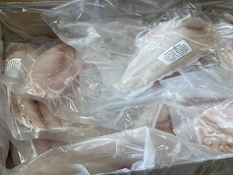 Whole grouper and snapper are brought to Lombardi’s Seafood for processing, where they are filleted, packaged, and boxed up ready for donation.