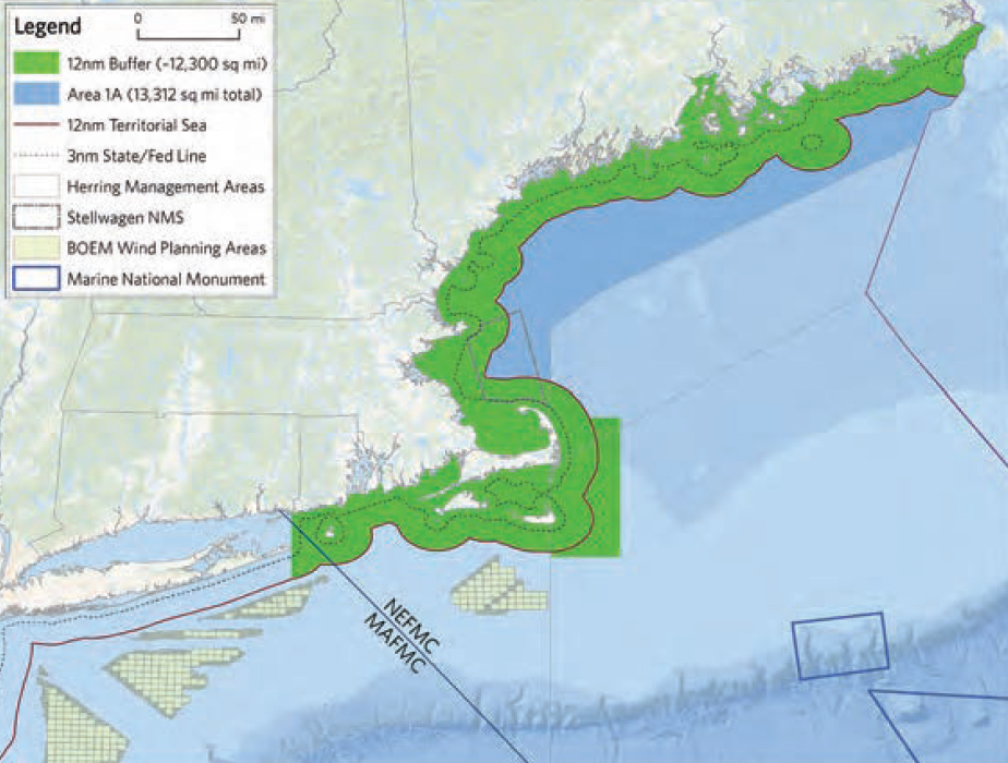 Atlantic herring buffer zone map