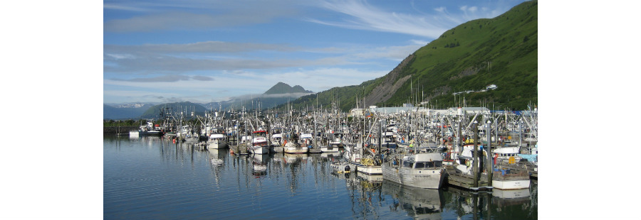Kodiak Harbor Waterfront, Alaska