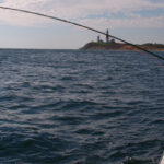 NMFS Seeks Angler Input on Recreational Fishing Policy