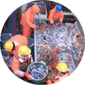 Strengthening Bycatch Provisions