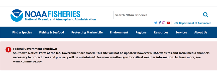 Government shutdown hurts fish, fishermen