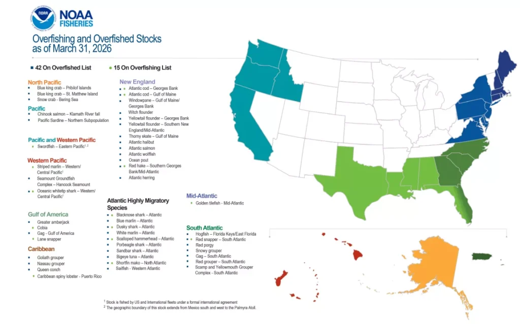 Overfishing and overfished stocks as of March 31, 2026. Credit: NOAA Fisheries